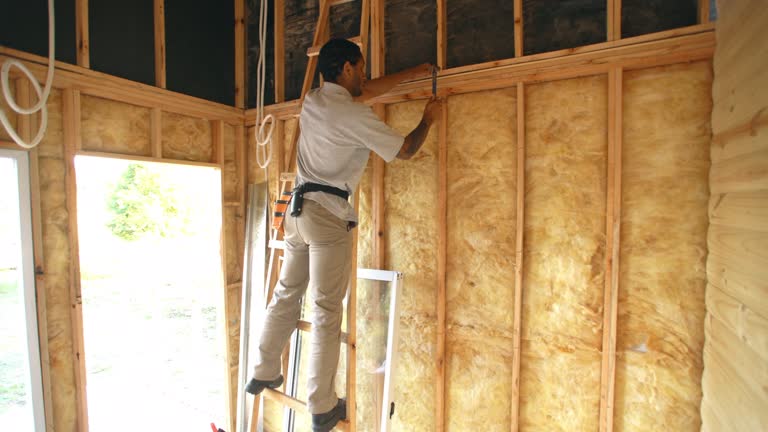 Best Spray Foam Insulation  in Lamar, MO