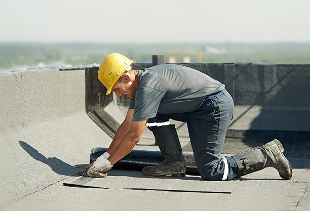 Best Attic Insulation Installation  in Lamar, MO