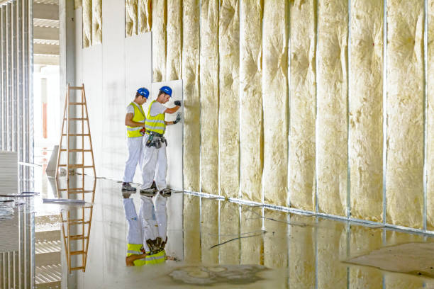 Best Fireproof Insulation  in Lamar, MO